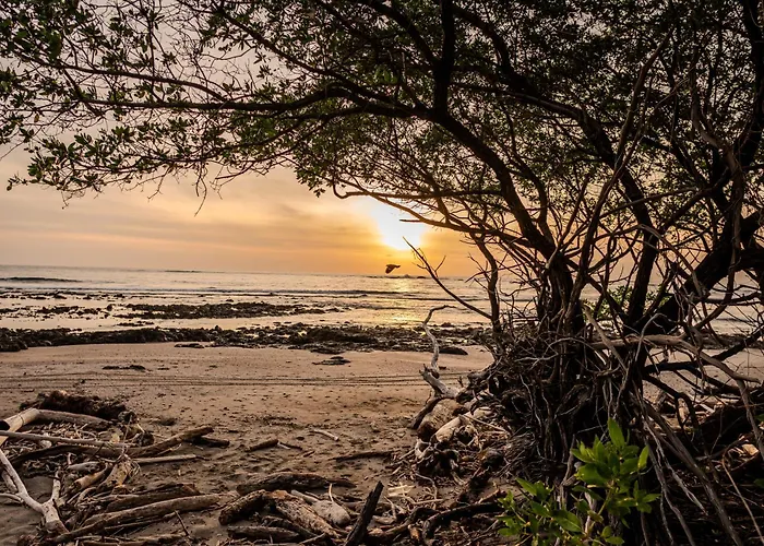 The Bohemian Lagarto Santa Cruz (Guanacaste)