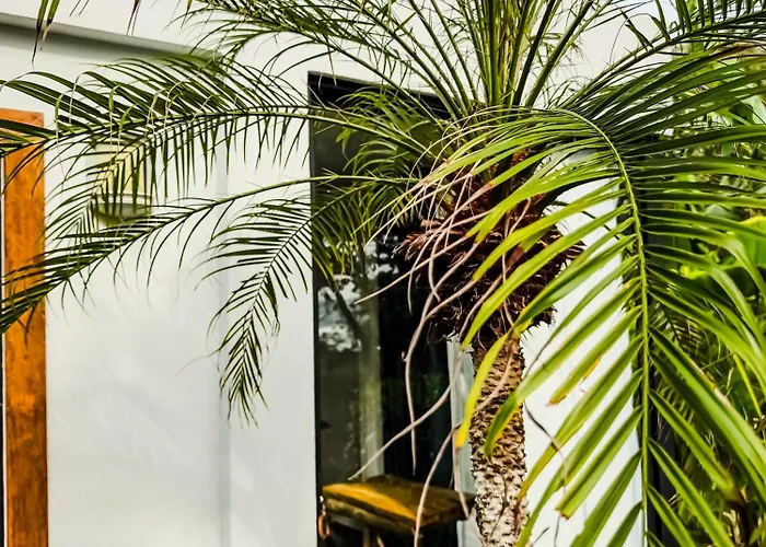The Bohemian Lagarto Hotel *